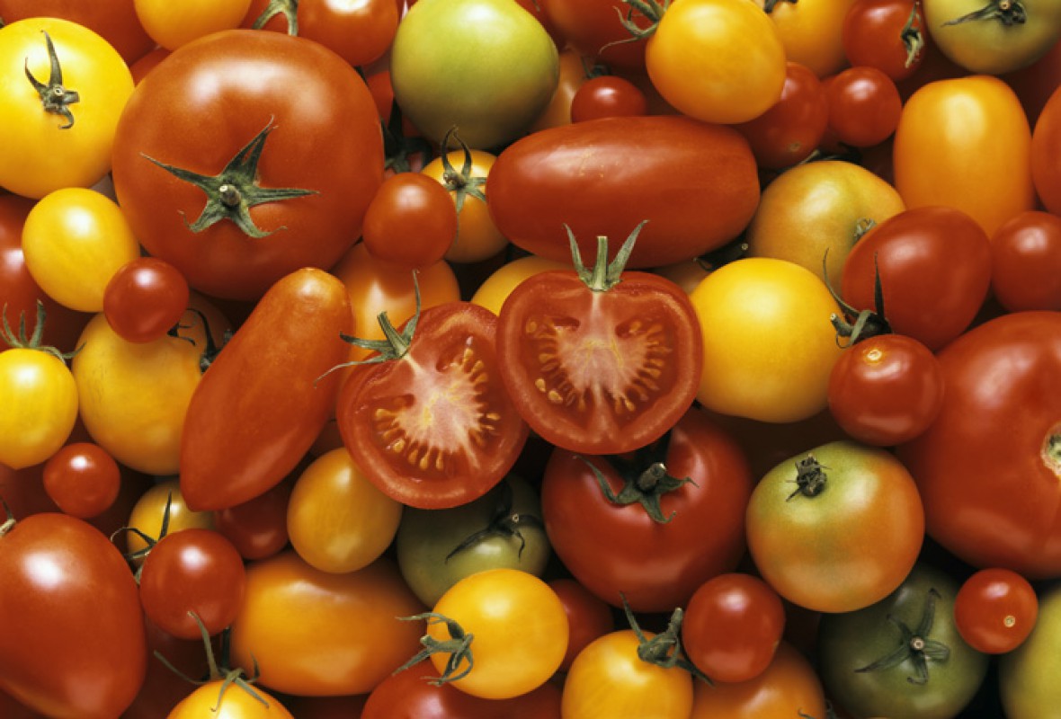 Candied tomato - Vegetables by Crop's